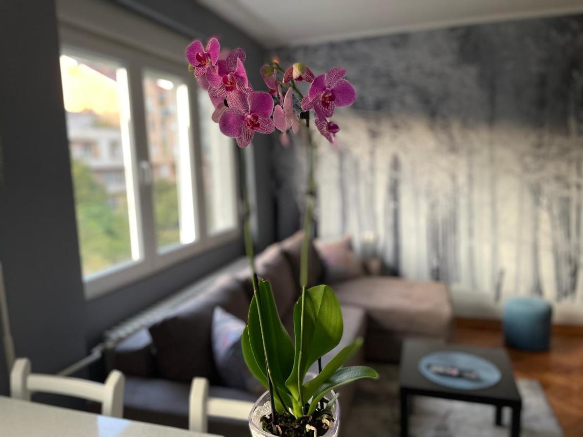 Apartman Avenia Нови Сад Екстериор снимка