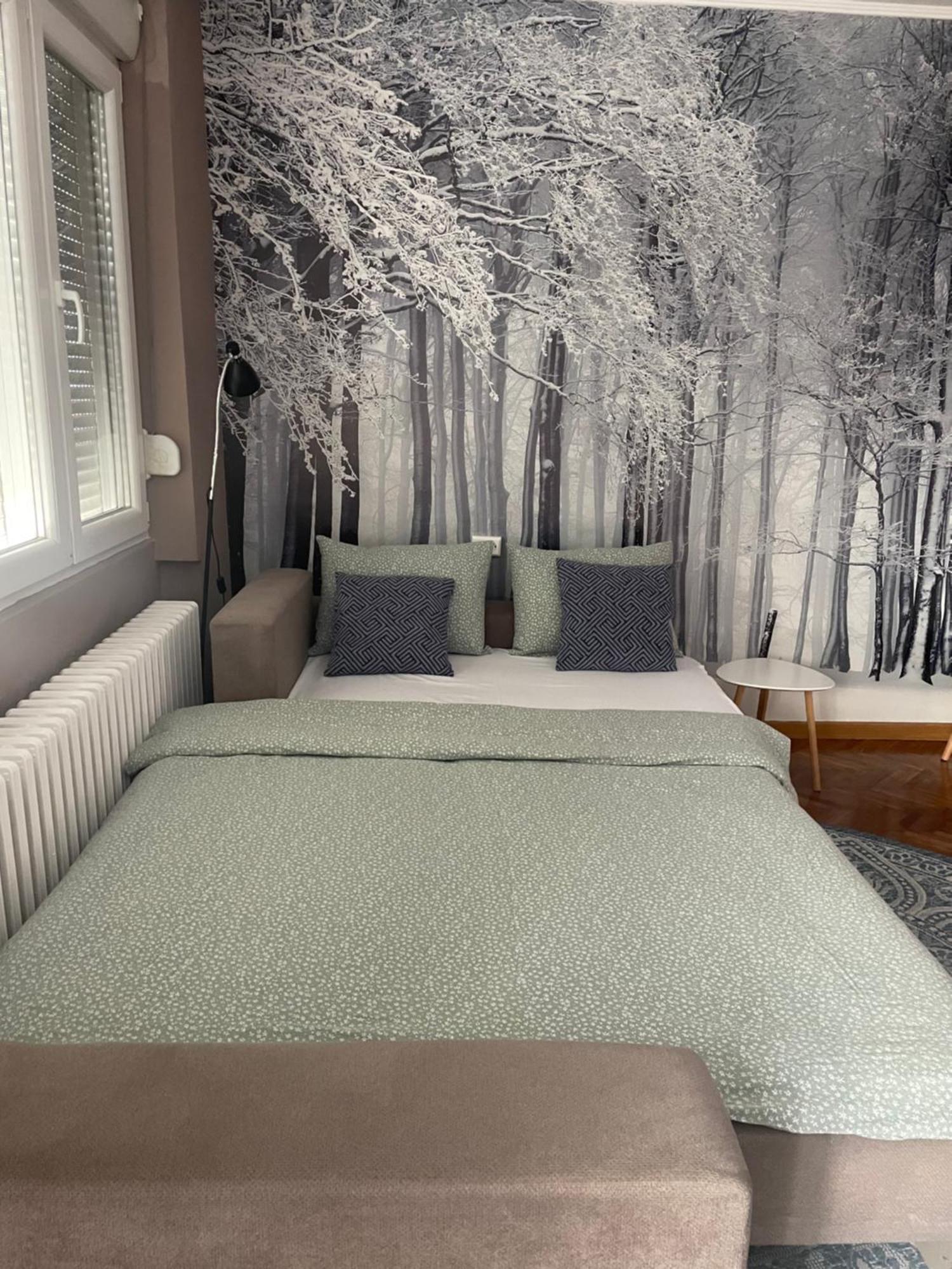 Apartman Avenia Нови Сад Екстериор снимка